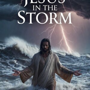 Jesus in the Storm (Ebook Digital Download Digital Download)